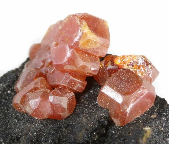 Red Vanadinite Crystals on Matrix - Morocco #38480